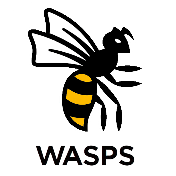 Wasps Netball